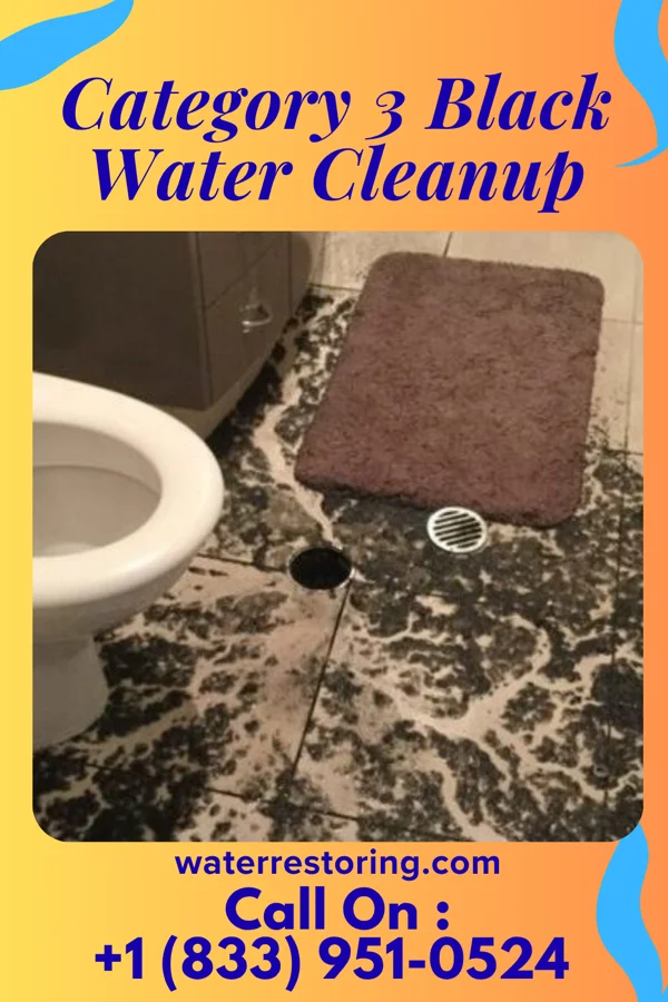 Category 3 Black Water Cleanup in Hammond, IL