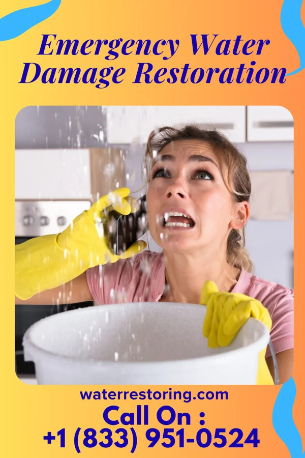 Emergency Water Damage Restoration in Hammond, IL